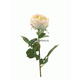 Роза Шанталь искусственная 10Dx70H кремово-розоватая