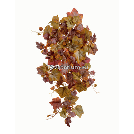 Виноградный куст Velvety Touch желто-красный микс в-75 см