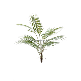 Пальма Хамедорея Зеленая без Кашпо в-85 см