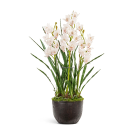 Орхидея Цимбидиум куст белый в-115 см 3 ветки с имитацией земли (без кашпо) (Sensitive Botanic)